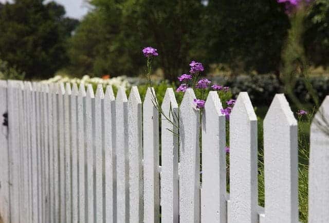 Fence Fence