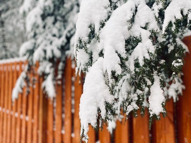 Japanese Cedar Fence Japanese Cedar Fence