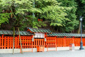 Japanese Cedar Fence
