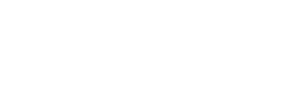 Logo White