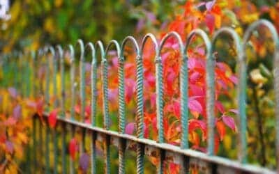 Detail Of Garden Fence With Colorful Vegetation 2023 11 27 05 00 30 Utc 1 Board On Board Fence: Full Privacy Without Gaps