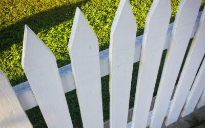Fencing In Plano Tx Dos And Don’Ts: Expert Tips For Homeowners