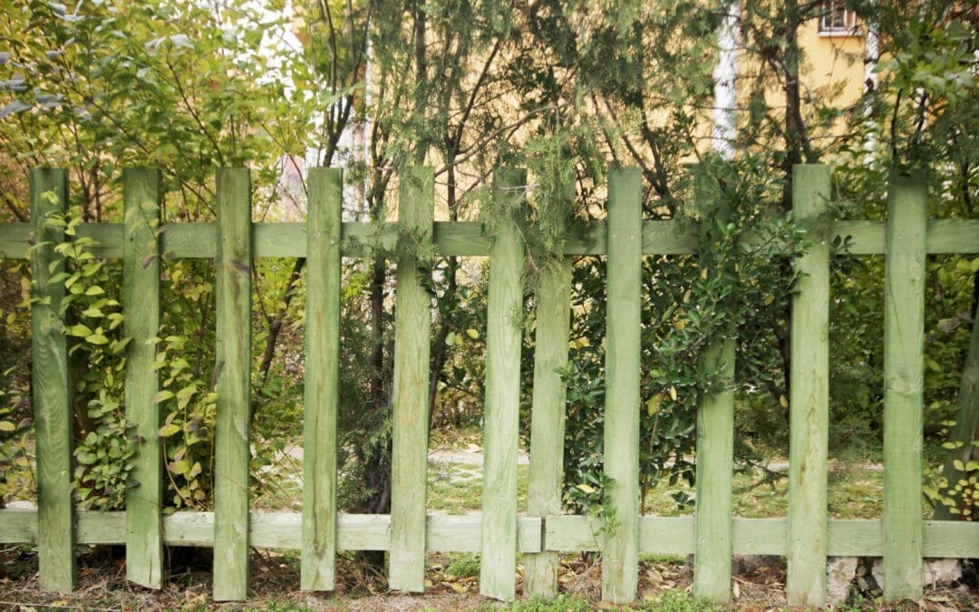 6 Powerful Reasons to Prioritize Fence Repair in Frisco Before This Year Ends