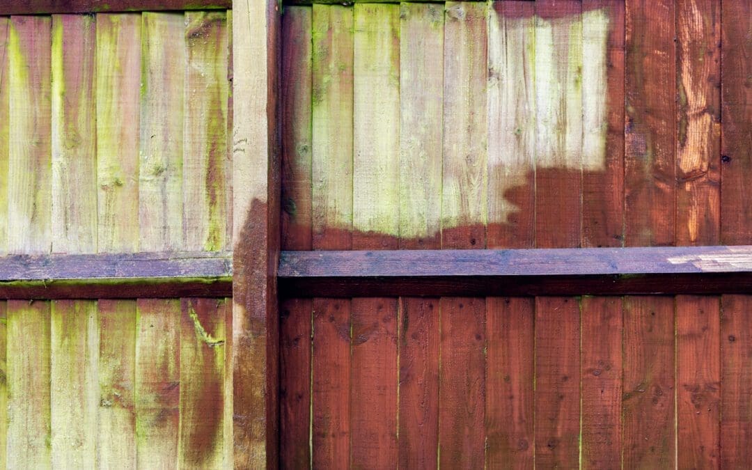 How to Maintain Your Frisco Fence and Stain for Long-Lasting Beauty: 7 Best Tips Revealed!