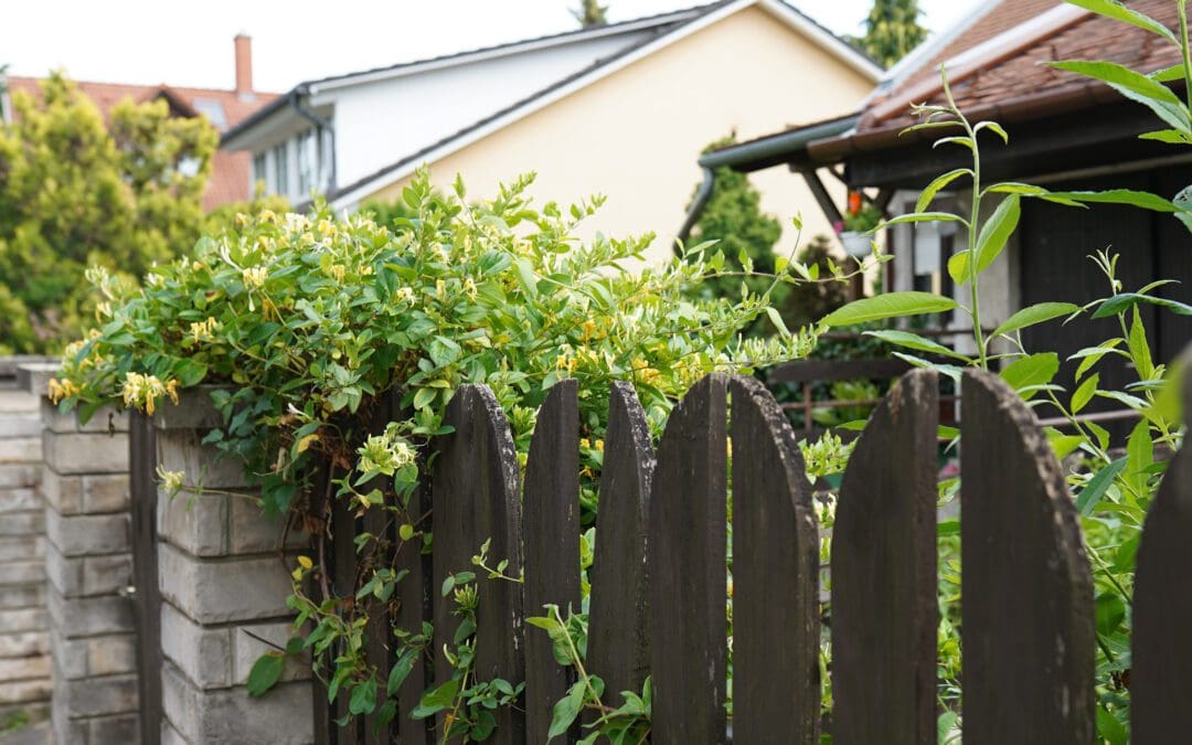 7 Reasons Why Wholesale Wood Fence Supply Near Me Saves Money