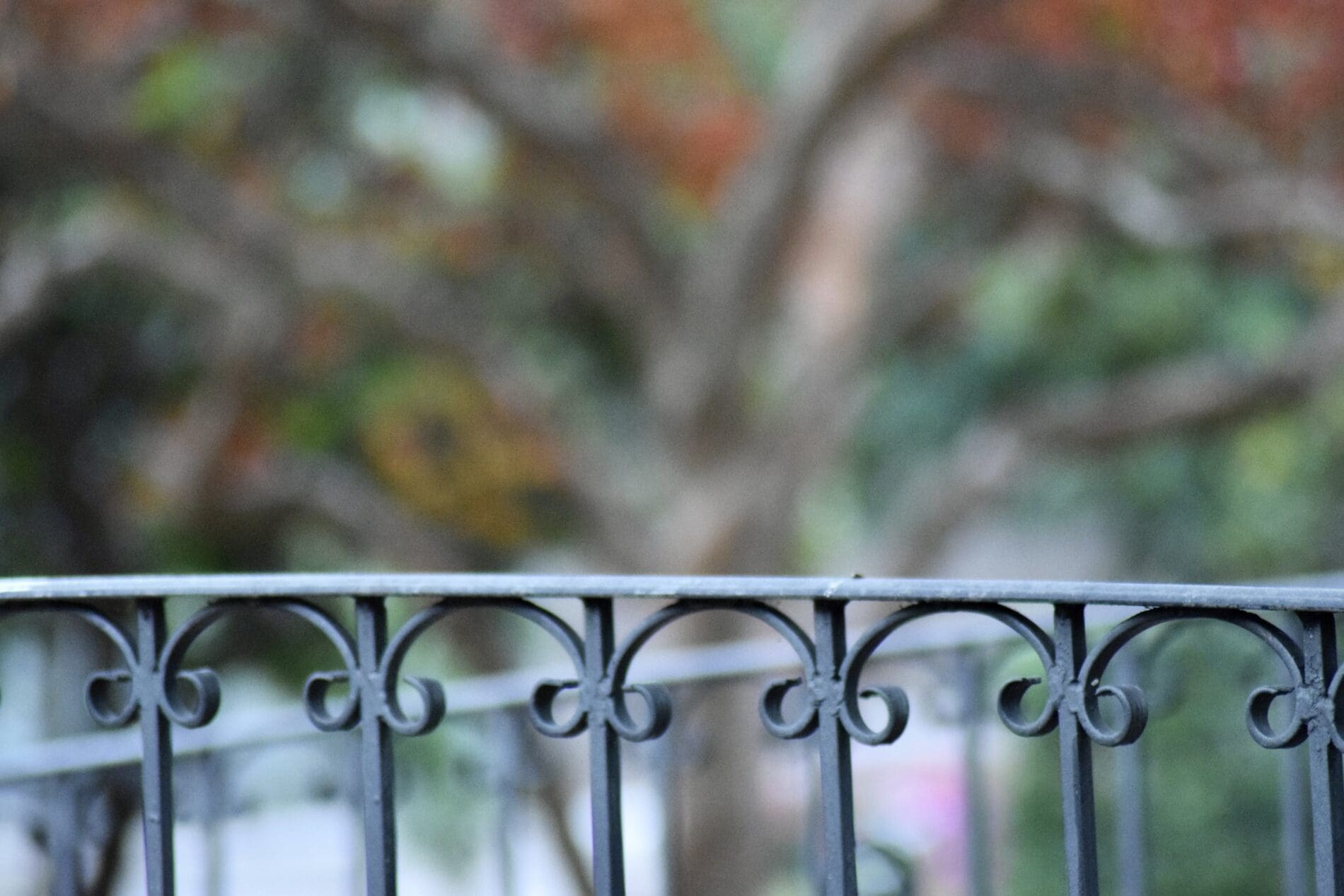 The Best And #1 Wrought Iron Fence Service In My Texas Fence