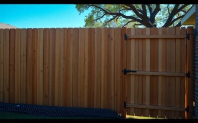 Best Dog Fence In Lucas Tx Sns What Is The Best Fence For Keeping Dogs Safe In Lucas Tx